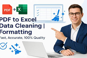 convert PDF to excel, clean, and format your data perfectly