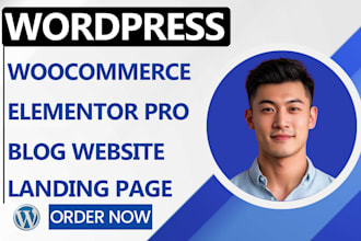 revamp wordpress elementor pro website design political campaign website blog