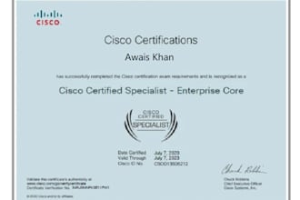 do cisco packet tracer, ccna, ccnp, gns3 and networking related tasks