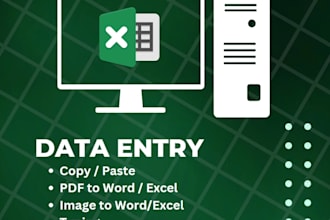 do data entry in excel,web scraping,database,copy paste , convert pdf to excel,