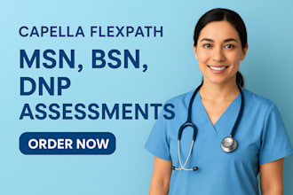 do capella flexpath msn bsn dnp assessments