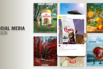 make social media designs that reflect your brand