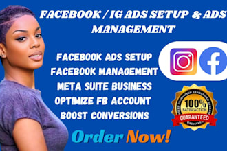 converting facebook ads, instagram ads management, meta ads campaign setup