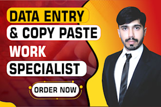 do excel data entry, and copy paste work