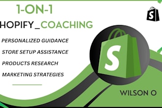 do ecommerce mentoring, shopify dropshipping store management  or redesign