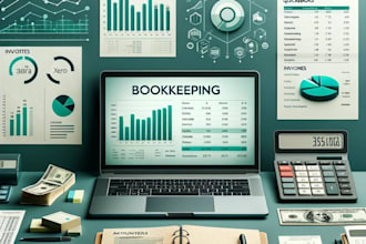 do expert bookkeeping for US clients using any software or application