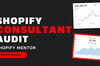 be your shopify mentor shopify consultant sales coach shopify consultation agent