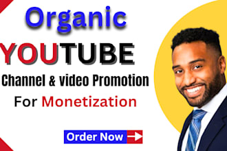 do fast youtube video promotion organic promotion viral videos growth gain view