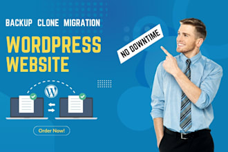 transfer or backup your wordpress website with zero downtime