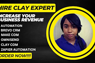 setup clay com brevo omnisend mautic klaviyo audit zapier make com API