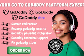 offer godaddy technical support renovate godaddy website audit domain redirect