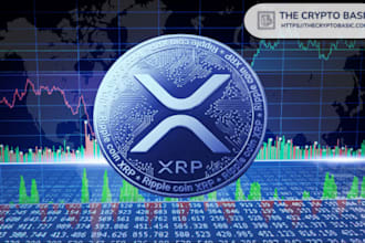 build presale dex staking web3 defi dapp on evm xrpl berachain solana blockchain