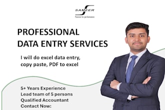 do excel data entry, copy paste and PDF to excel