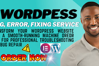 fix wordpress bugs, errors, elementor issues, and provide expert wp support