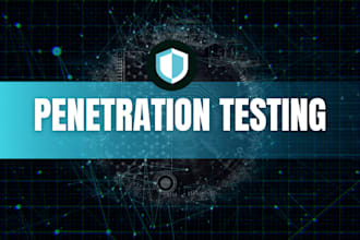 perform penetration testing and web vulnerability