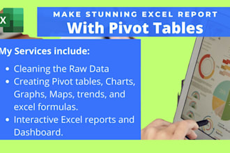 create professional excel chart, graphs, pivot tables, dashboard