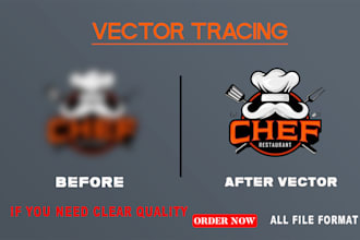 do vector tracing or convert to vector quickly