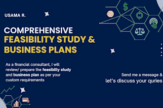 prepare feasibility study, financial model and business plan