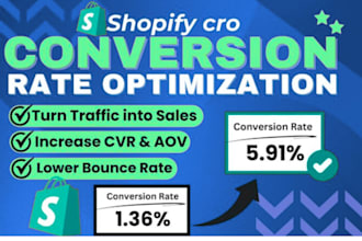 audit and optimize your shopify store for higher conversions and sales