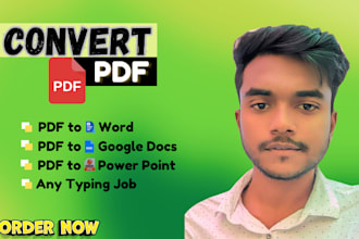 be your convert PDF to word, google docs, typing service