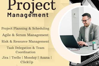 provide business plan writing project management and virtual team support