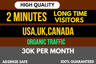 drive USA organic and targeted audience to your website