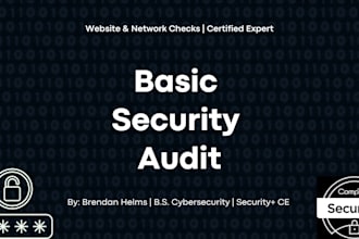 perform a basic security audit for your website or network