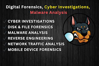 digital forensics, cyber investigation and malware analysis