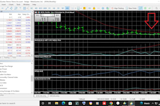 assist you with day trading, forex, or cryptocurrency trading  one hour lesson