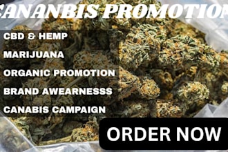 develop strategic marketing solutions for your cbd and cannabis brand