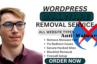 do wordpress malware removal, website bug, fix redirecting issues and security