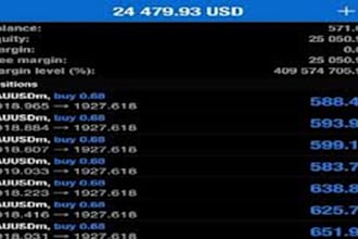 be your profitable forex trader, prop trading, forex bot, ea bot , hft bot