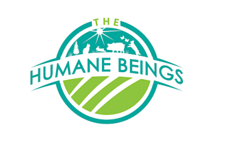 design beautiful pet logo