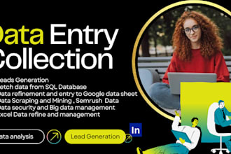 do bulk data collection, refine and sql, excel data entry , lead generation