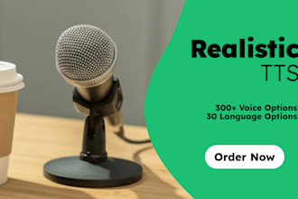 create realistic tts voiceovers in 30 languages, 300 voices