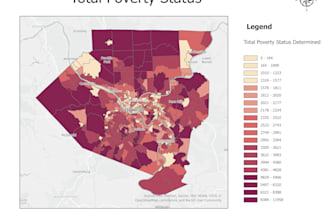create high quality gis maps and spatial analysis
