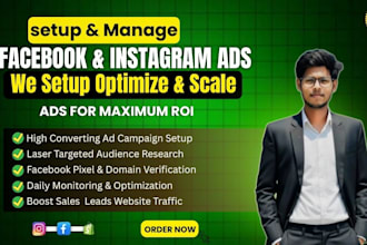manage facebook instagram and meta ads campaings small business