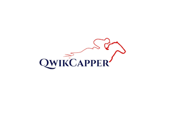 design fun professional horse racing brand logo