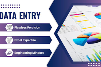expertly handle data entry and excel tasks with engineering precision