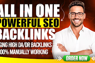 provide you all in one offpage SEO powerful unique service packages