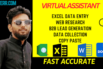 help you with data entry, web research, copy paste and convert to excel,b2b, pdf