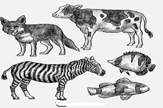 draw a pen sketch of any pet, wild animal, bird, dog, fish