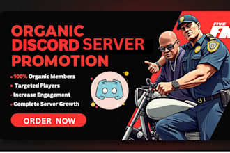 professional discord server growth, discord server promotion