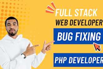 fix bugs errors from HTML, CSS, javascript, PHP, wordpress