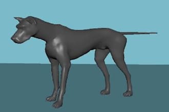 integrate 3d animal animation, 3d animal model, 3d rigging, compositing vfx