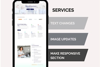 do wordpress customization and changes