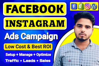 setup and manage facebook and instagram ads campaign meta ads for lead and sales