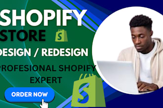 design shopify store redesign dropshipping shopify store build shopify store