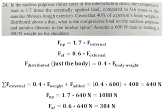 tutor algebra and geometry math to anyone