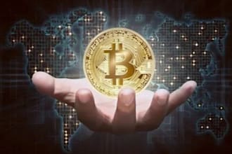 do crypto token website, coin, meme website, pepe website, ico, bitcon website